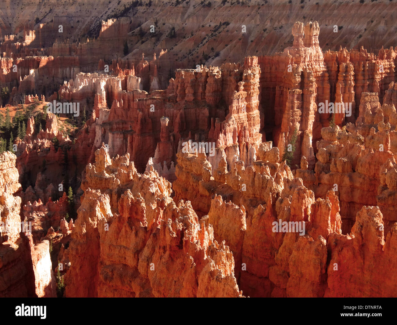 Bryce Canyon Ansichten Stockfoto