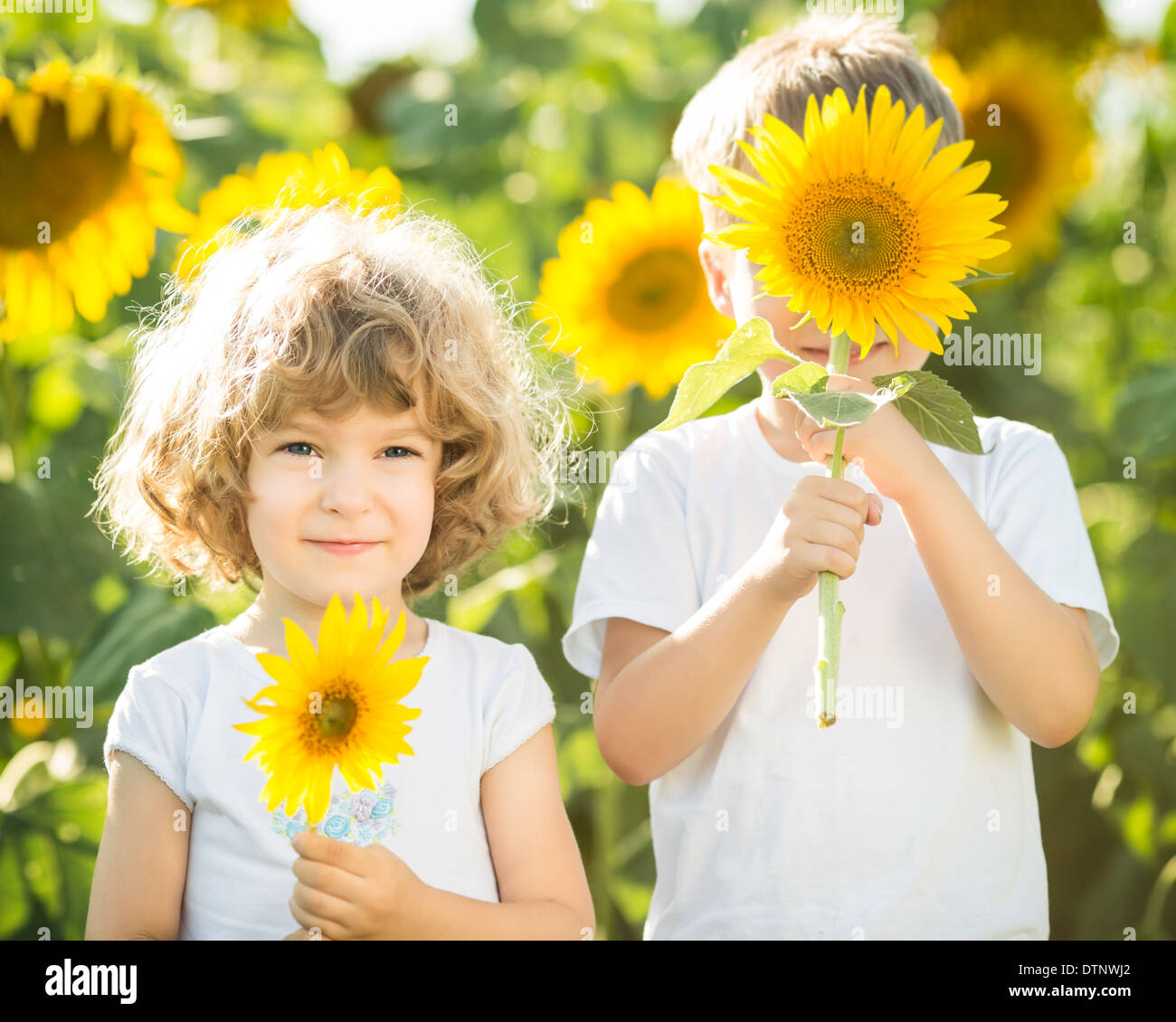 Glückliche Kinder, die spielen mit Sonnenblumen Stockfoto