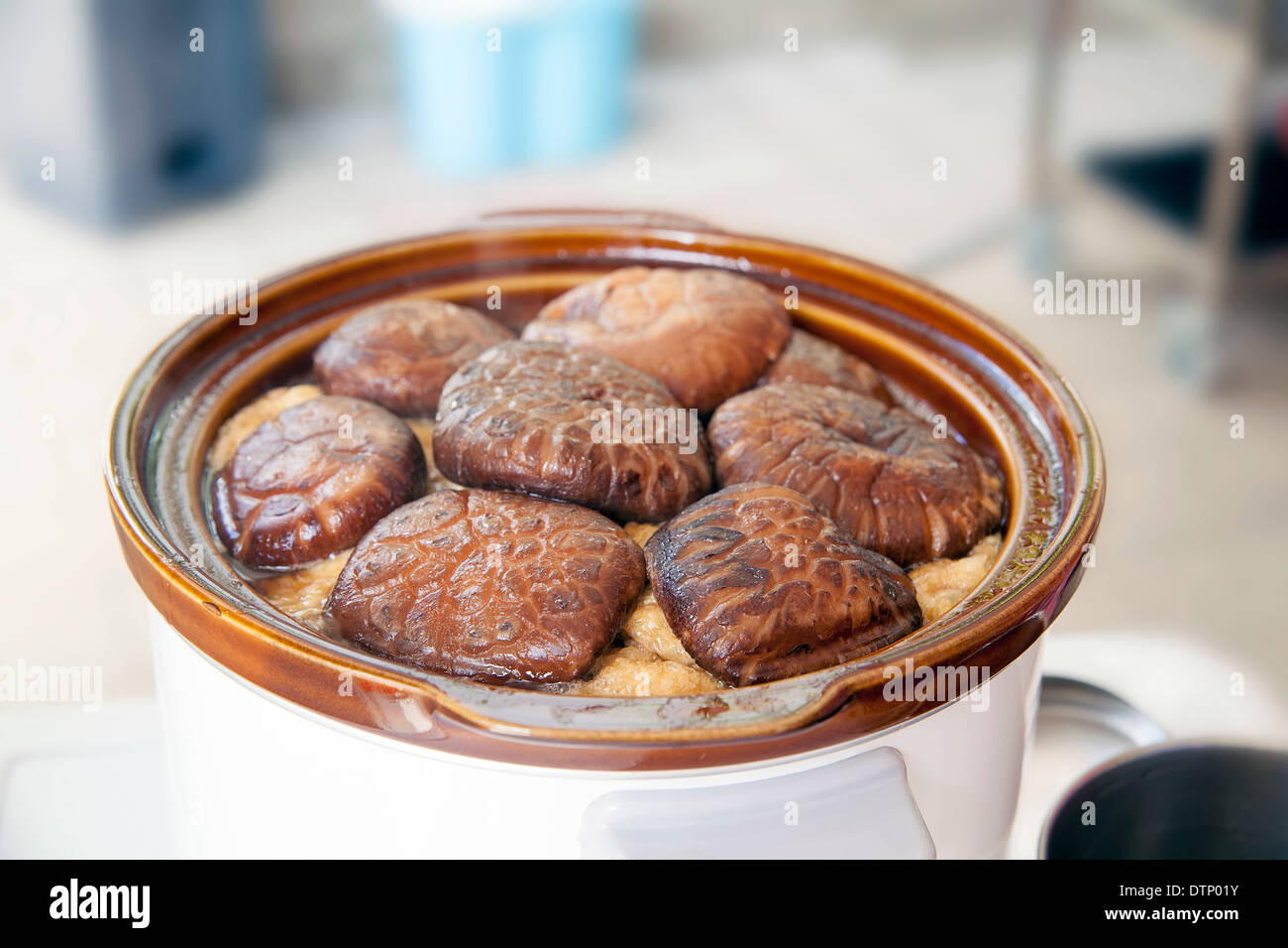 Geschmorte Shiitake schwarze Pilze Kochen im Slow Cooker Pot Closeup Stockfoto