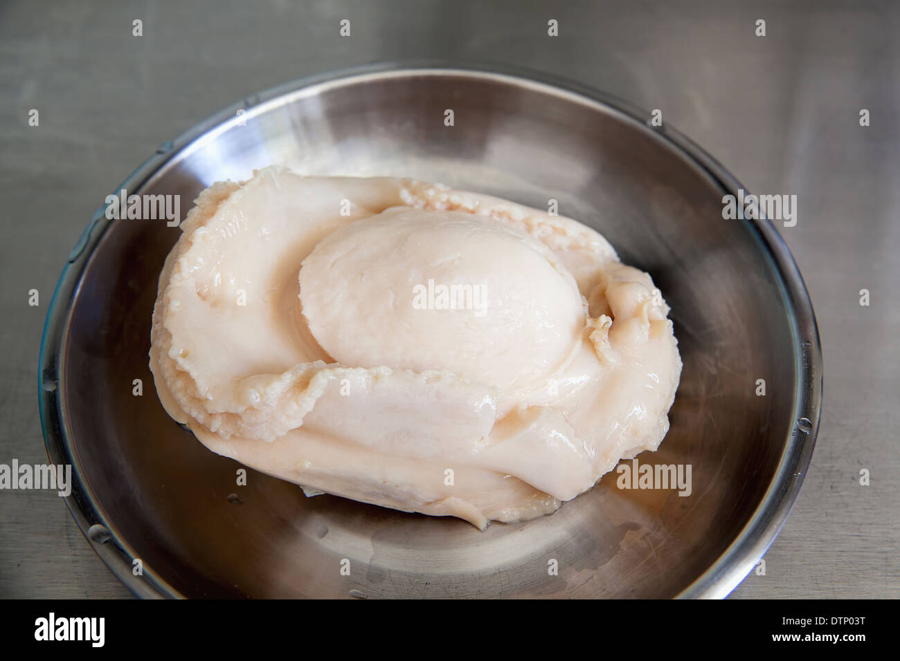 Großer Kopf in Dosen Abalone als Kochzutat in chinesischen Gerichten Stockfoto