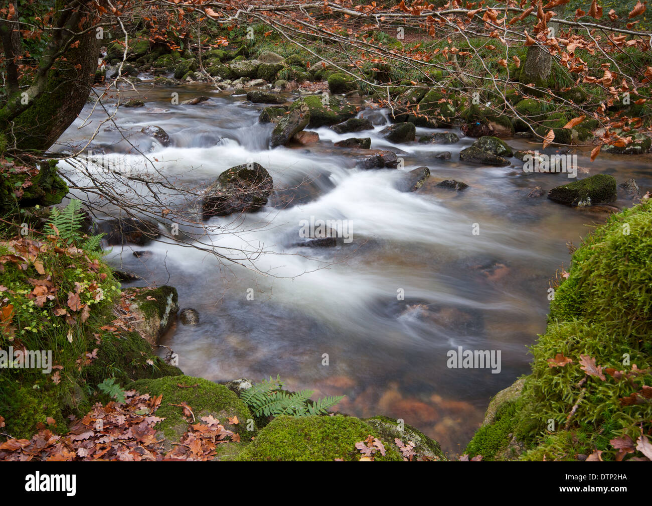 Fluß Plym bei Dewerstone auf Dartmoor in England Stockfoto