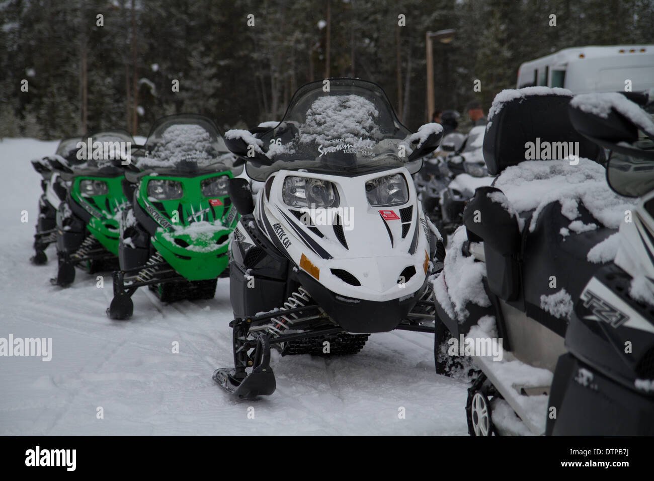 Schneemobil-Tour durch den Yellowstone National Stockfoto