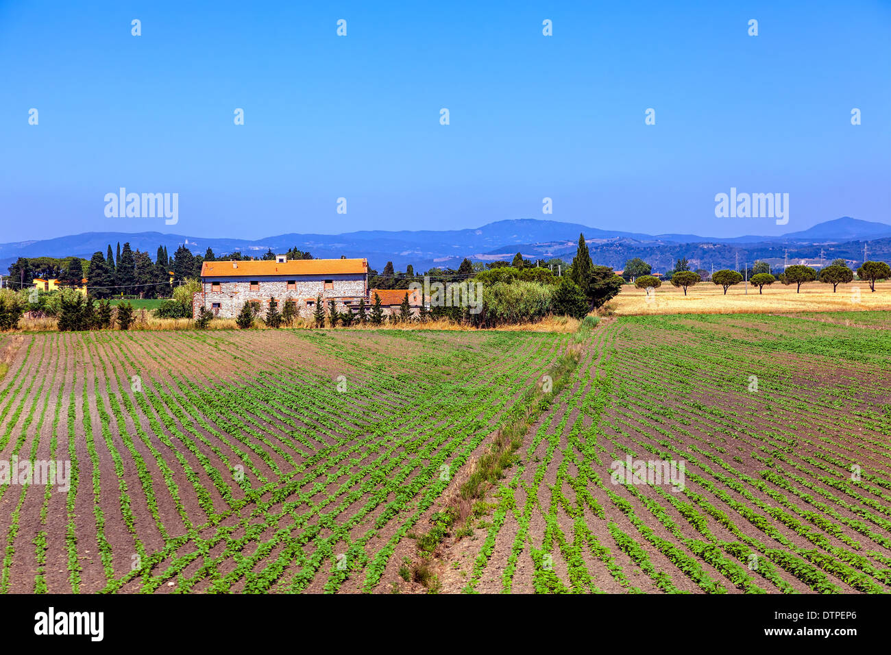Landschaft in der Toskana Stockfoto