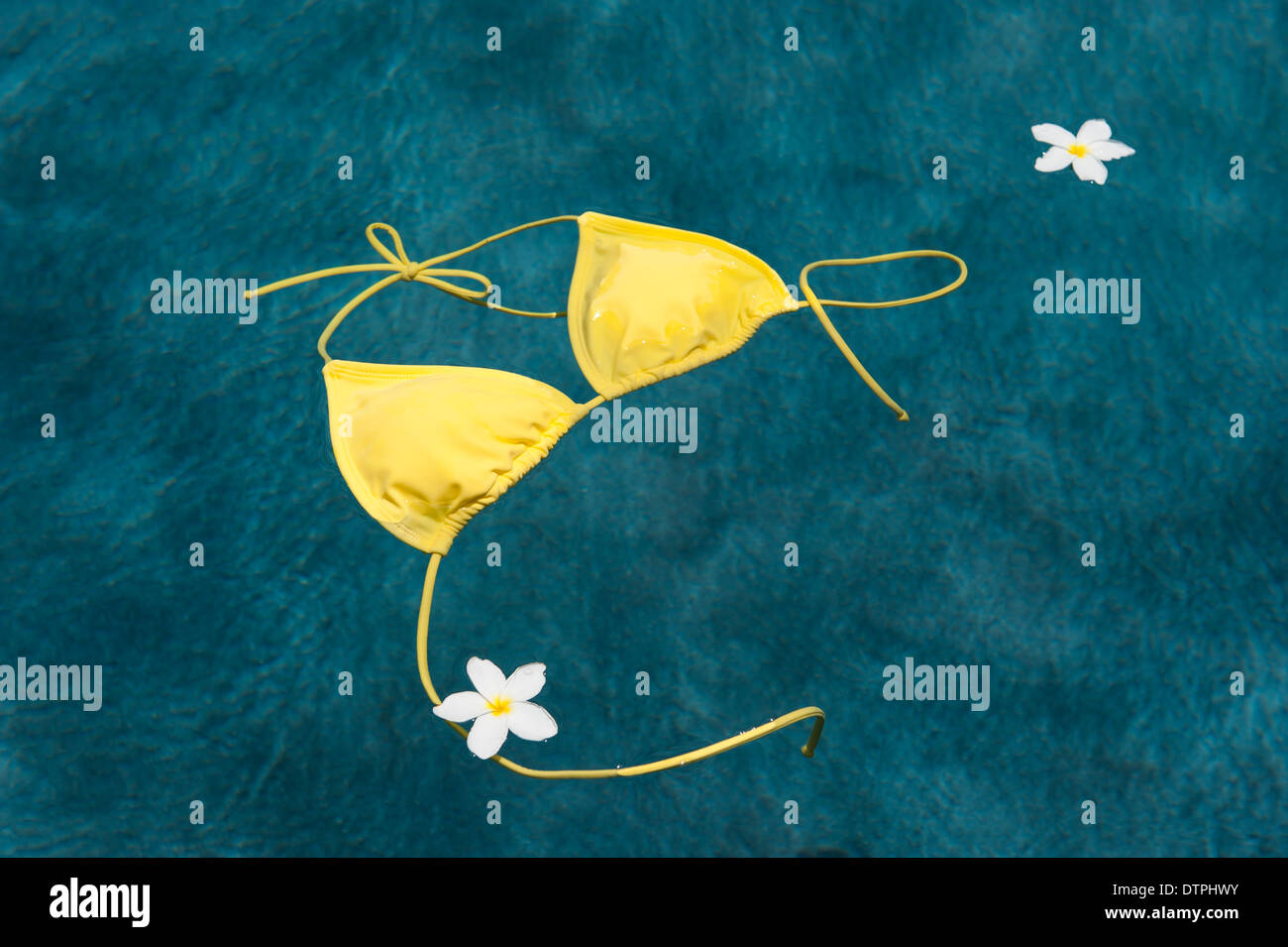 Gelben Bikini-Oberteil im Pool mit Plumeria Blüten schweben Stockfoto