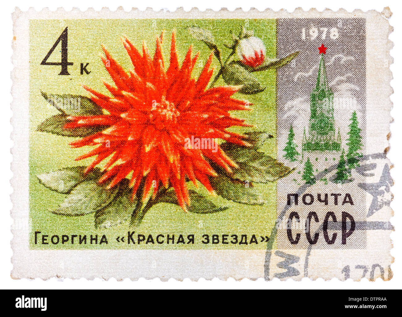 UdSSR - CIRCA 1978: Eine Briefmarke gedruckt in Russland zeigt Dahlia "Roter Stern" und Spasski Turm, Serie Moskau Blumen, ca. 1978 Stockfoto