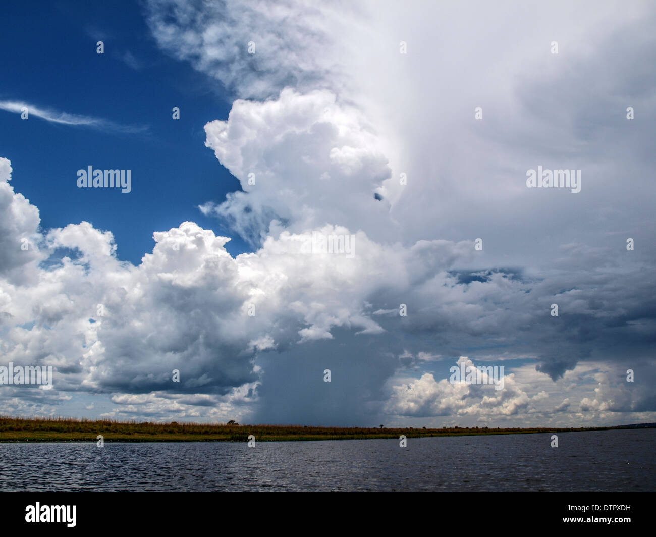 Chobe Flusslandschaft mit großen weißen Wolken und Regen in den weiten Horizont Stockfoto