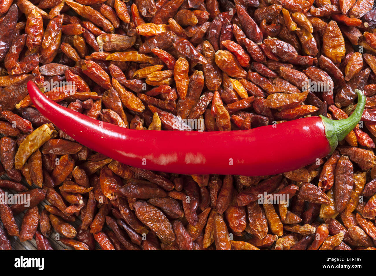 Hintergrund der getrocknete Chilischoten und eine ganze Piri Piri Chili-Pfeffer Stockfoto