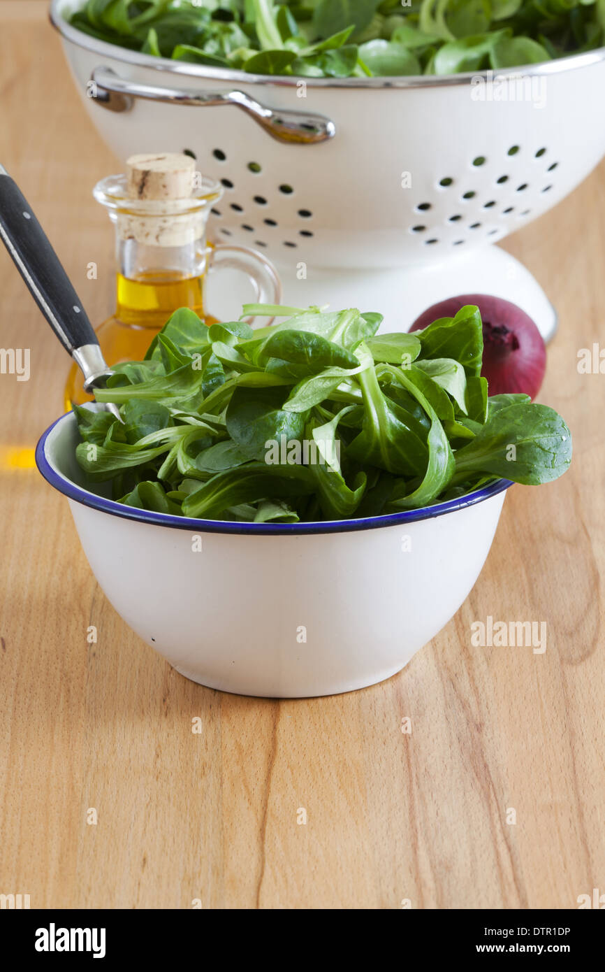 Eine Emaille Schüssel Feldsalat im Hintergrund ein Sieb, Olivenöl und roten Zwiebeln mit textfreiraum im unteren Bereich das Bild Stockfoto