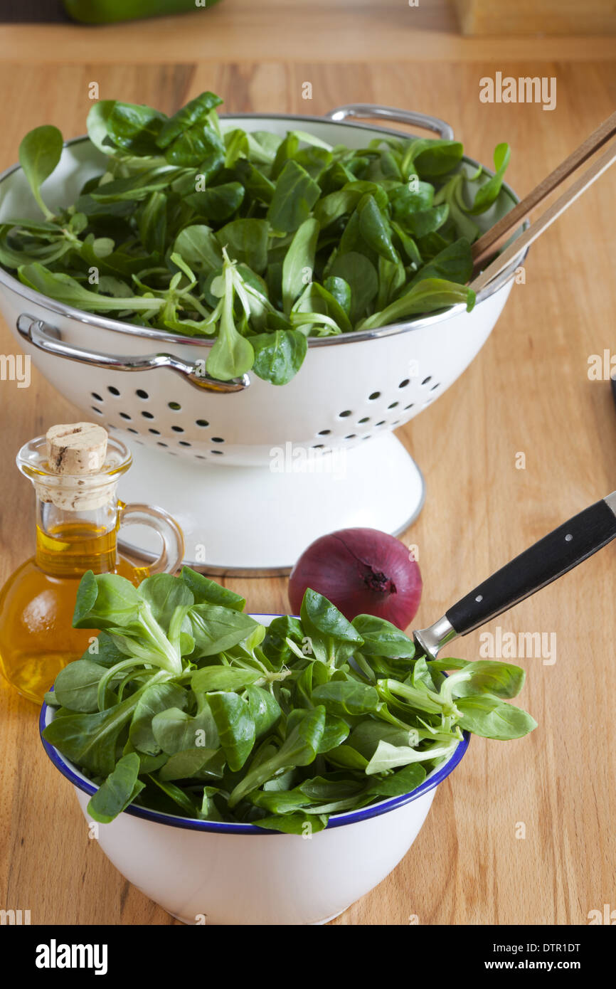 Eine Emaille Schüssel Feldsalat im Hintergrund ein Sieb, Olivenöl und rote Zwiebel Stockfoto
