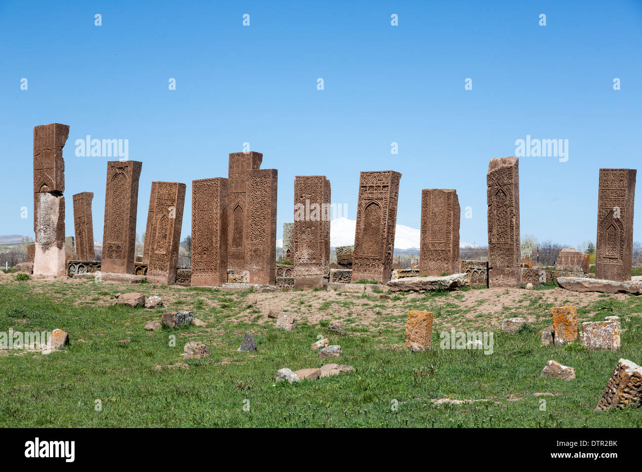 geschnitzten Stein Grabsteine, Ahlat, Bitlis Provinz, Ostregion-Anatolien, Türkei Stockfoto