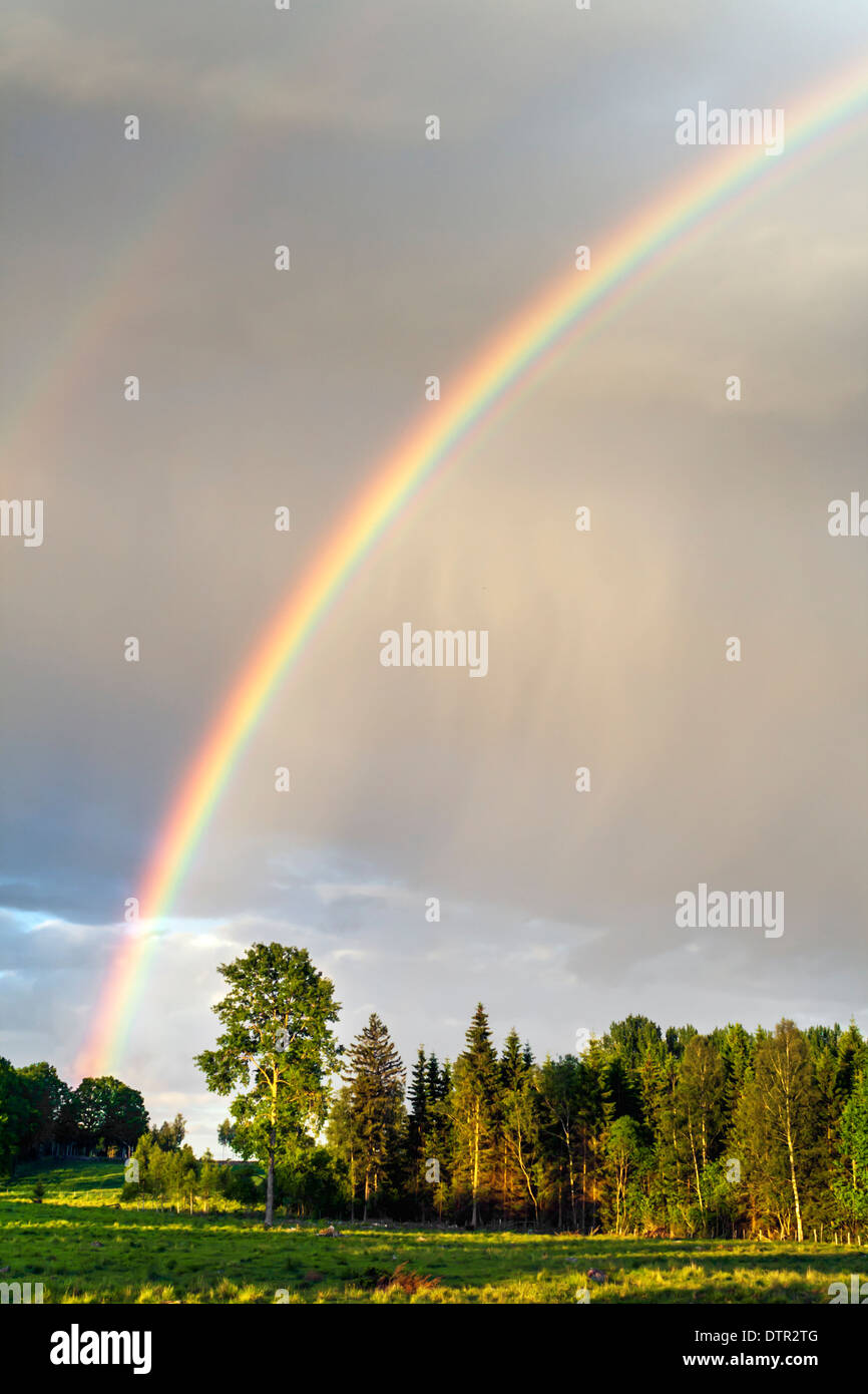 Am späten Abend Regenbogen mit Feld und Bäume Stockfoto