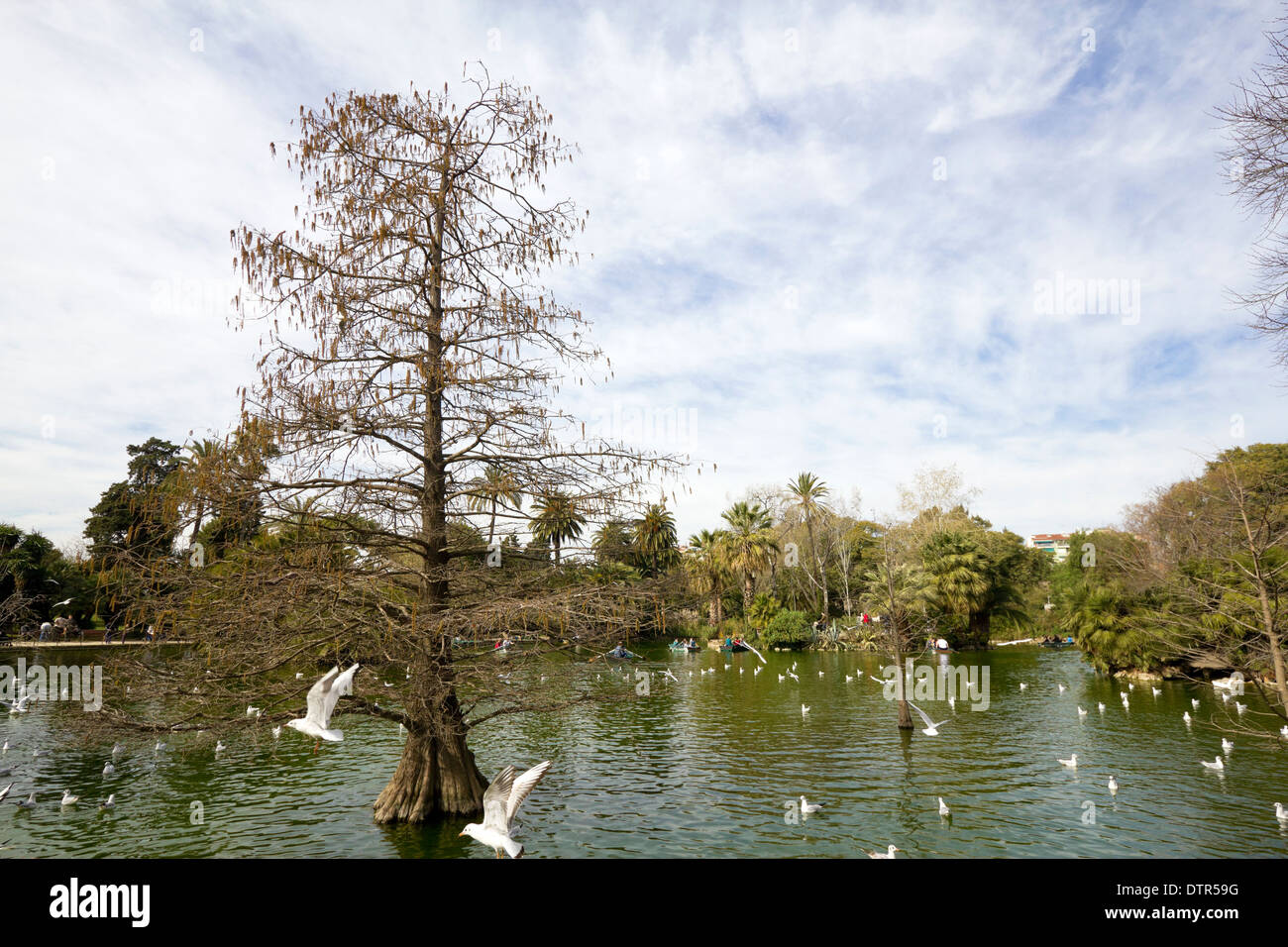 See in Ciutadella Park, Stadt Barcelona, Katalonien (Spanien) Stockfoto