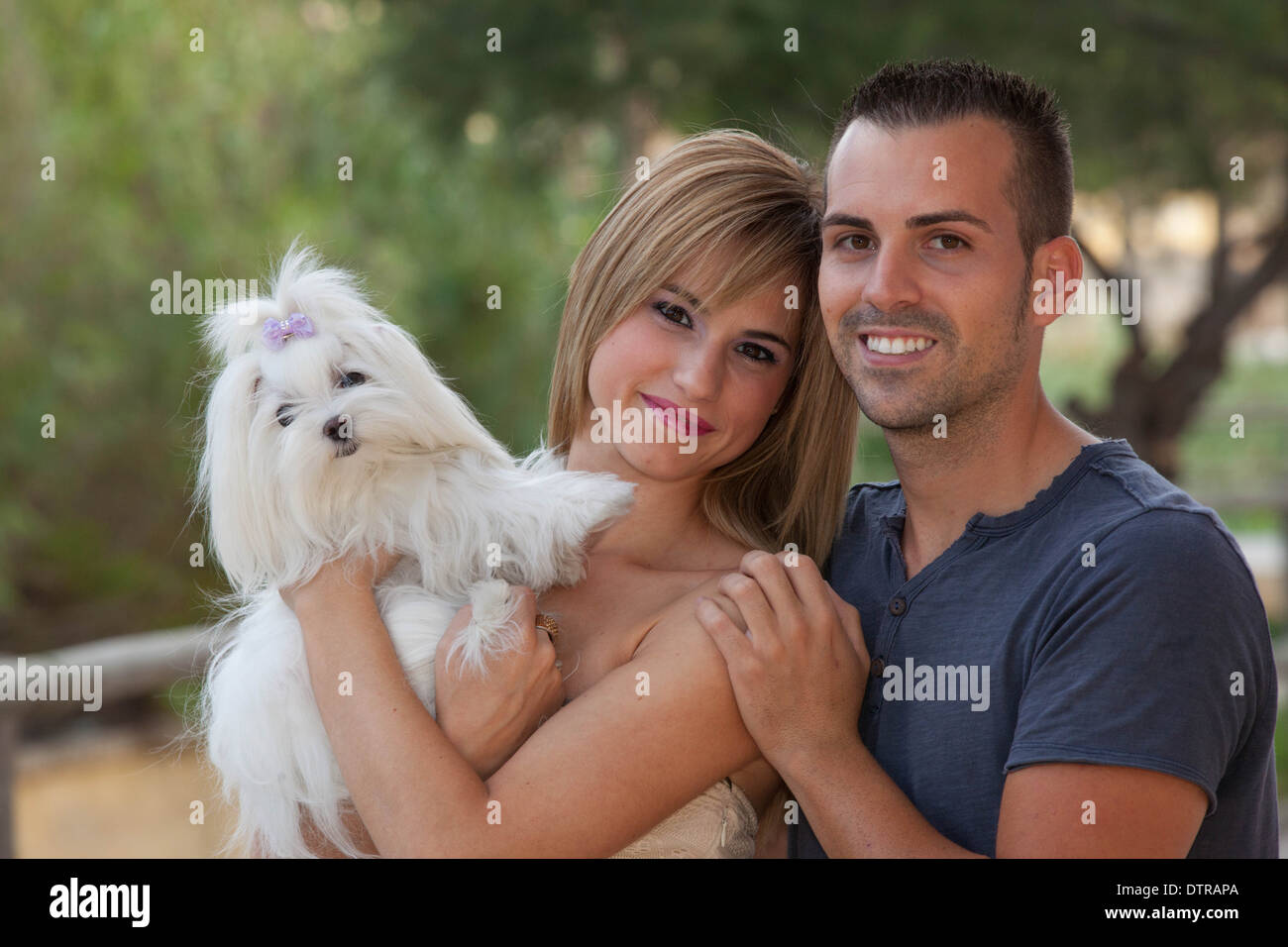 Maltesische Familienhund Stockfoto
