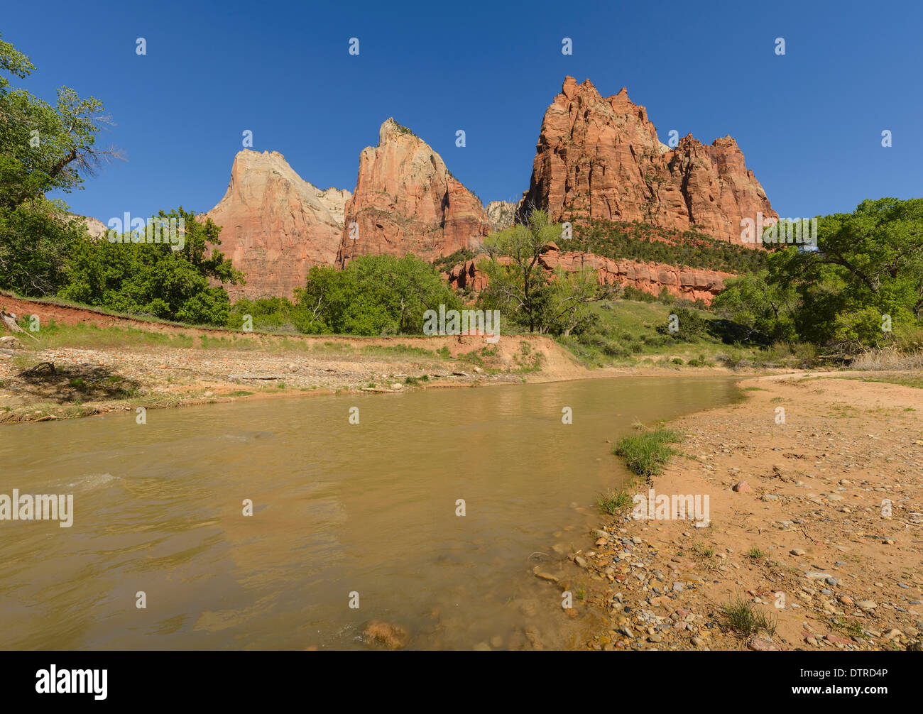 Gericht der Patriarchen, Zion Nationalpark, Utah, USA Stockfoto