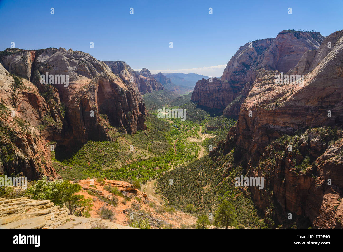 Ansicht des Zion Canyon von Angels Landing, Zion Nationalpark, Utah, USA Stockfoto