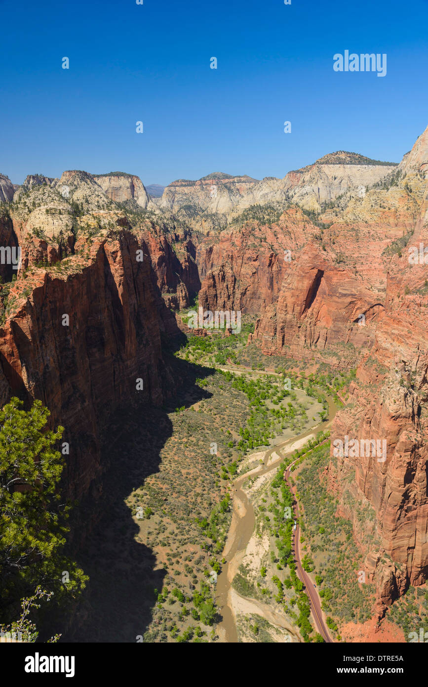 Ansicht des Zion Canyon von Angels Landing, Zion Nationalpark, Utah, USA Stockfoto