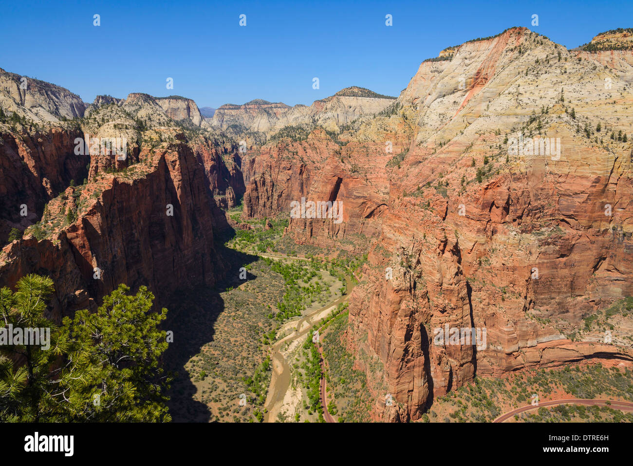 Ansicht des Zion Canyon von Angels Landing, Zion Nationalpark, Utah, USA Stockfoto