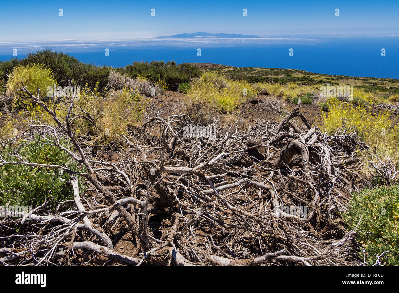 Landschaft auf der Kanarischen Insel Teneriffa Stockfoto