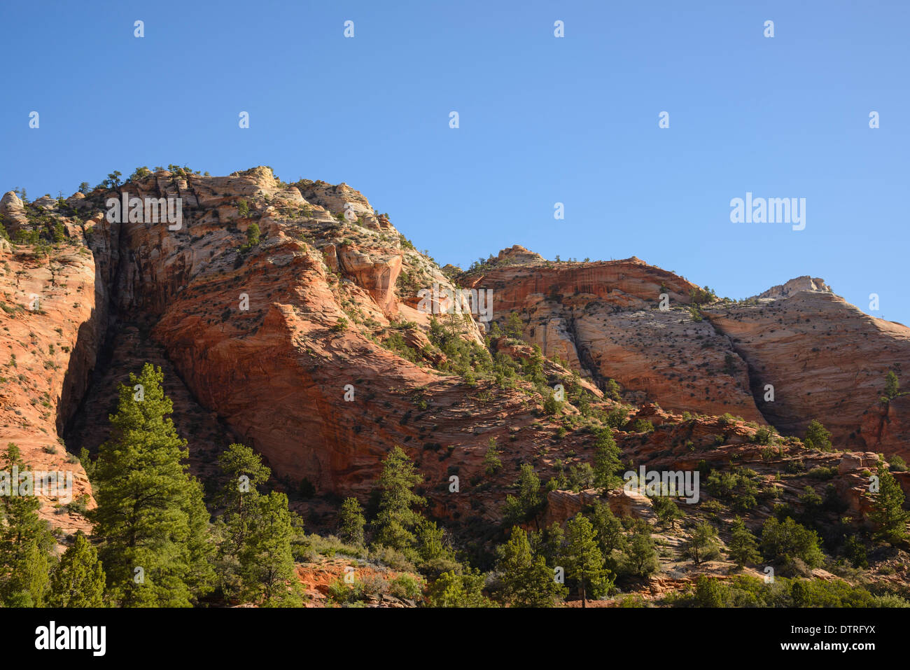 Zion Plateau, östlichen Abschnitt der Zion Nationalpark, Utah, USA Stockfoto