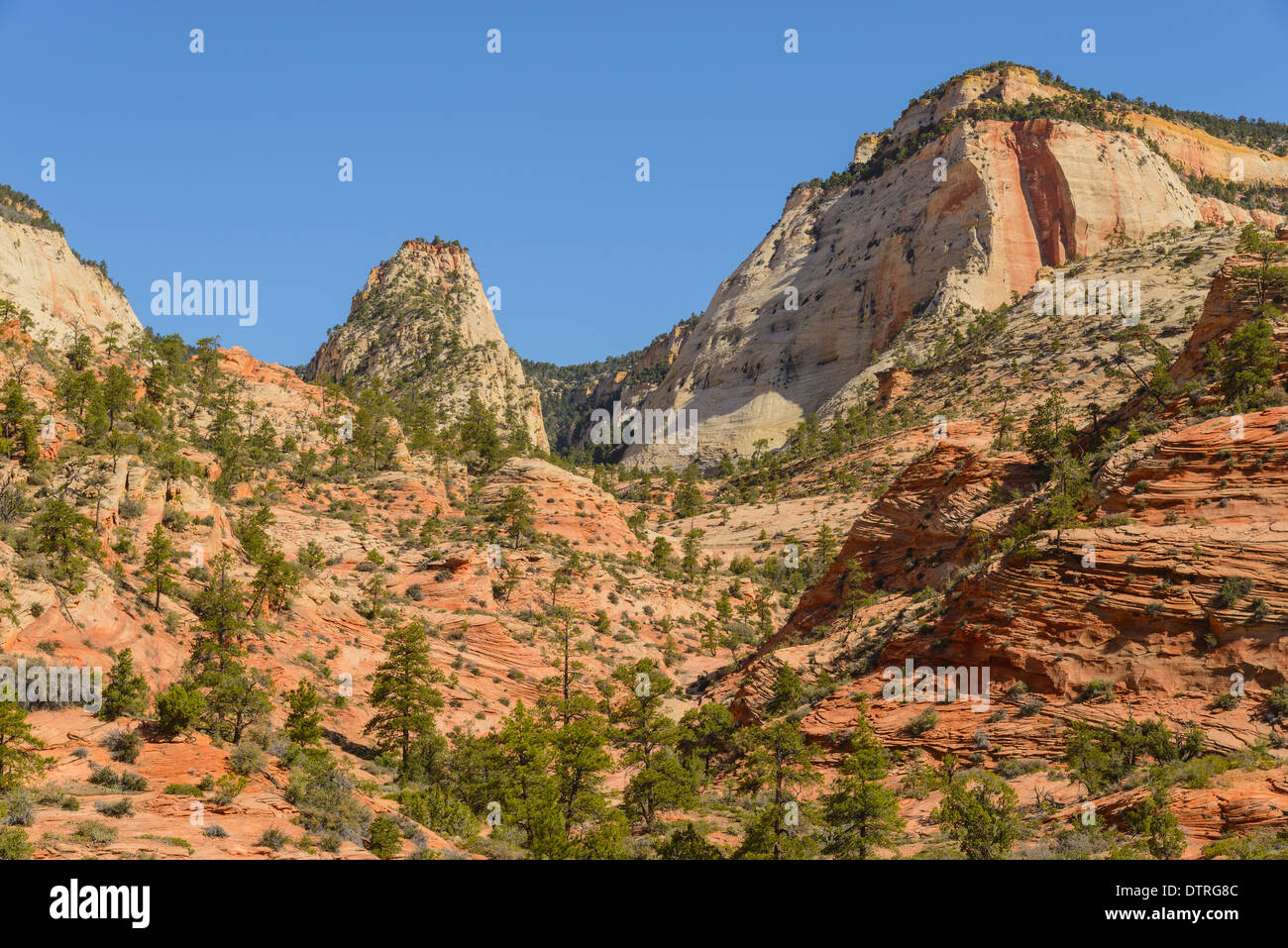 Zion Plateau, östlichen Abschnitt der Zion Nationalpark, Utah, USA Stockfoto