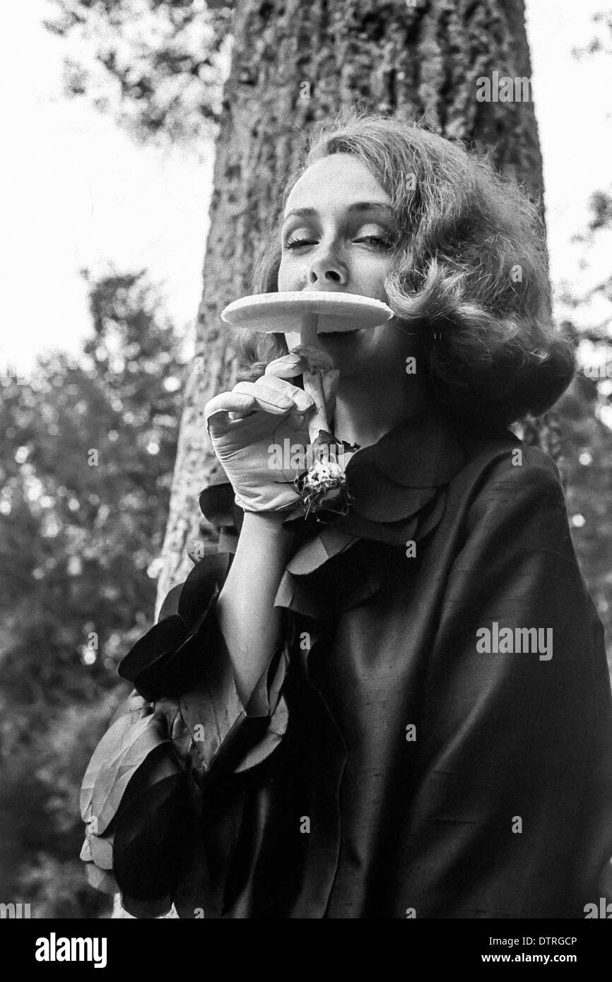 60er Jahre Mode Modell Porträt hält einen Pilz Stockfoto