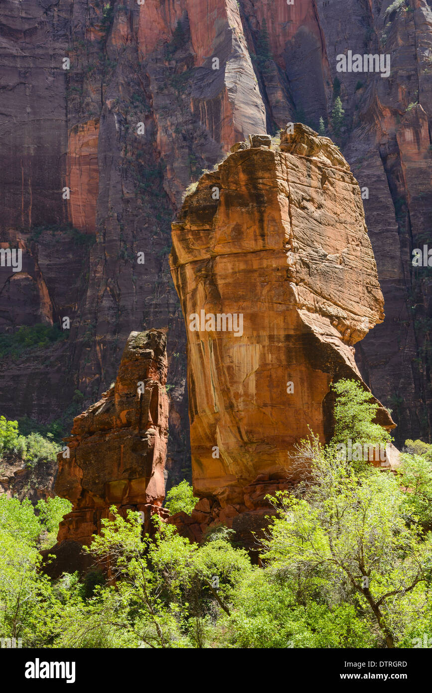 Tempel von Sinwava, Zion Nationalpark, Utah, USA Stockfoto