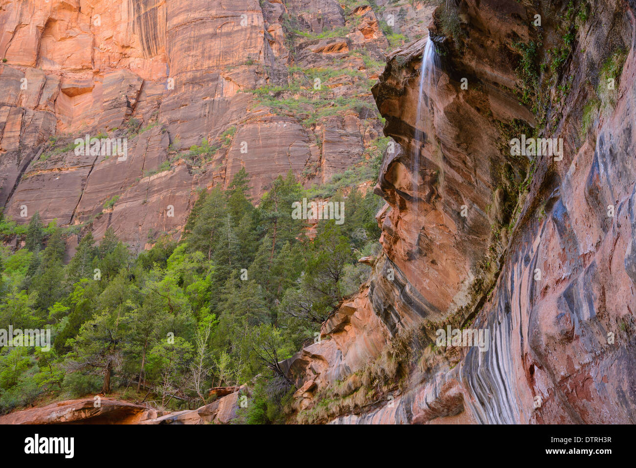 Emerald Pools, Zion Nationalpark, Utah, USA Stockfoto