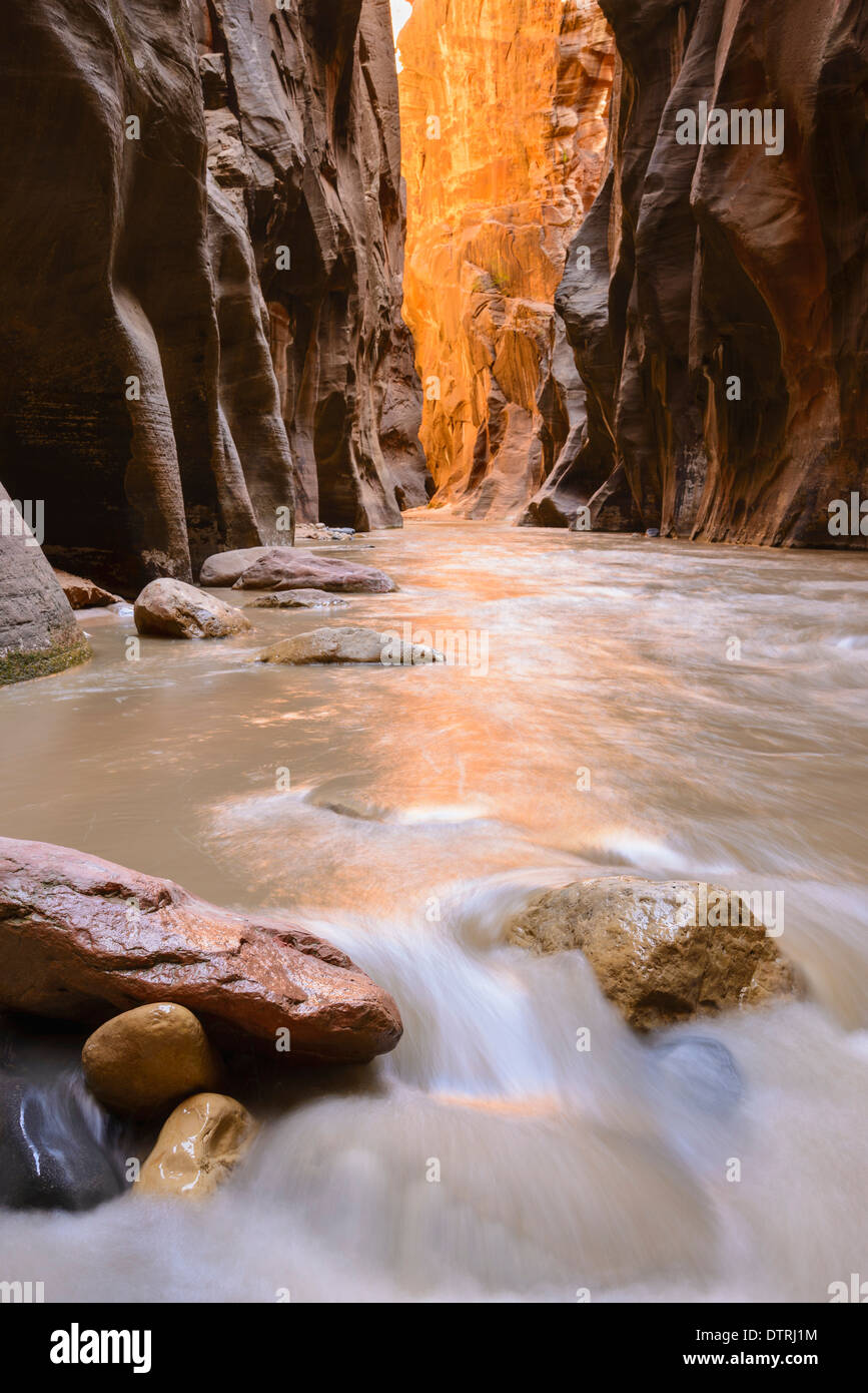 Virgin River Narrows, Zion Nationalpark, Utah, USA Stockfoto