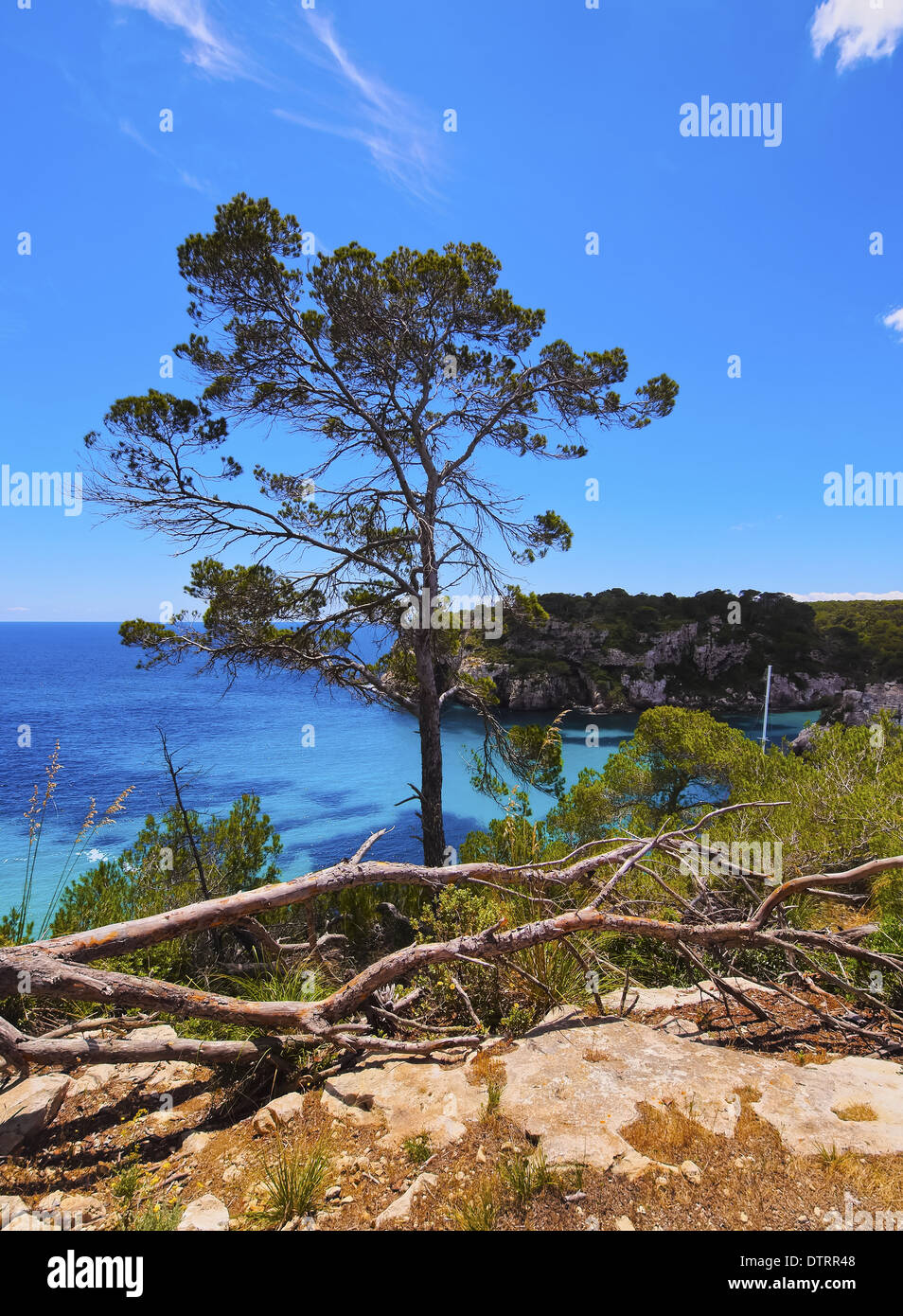 Cala Macarella auf Menorca, Balearen, Spanien Stockfoto