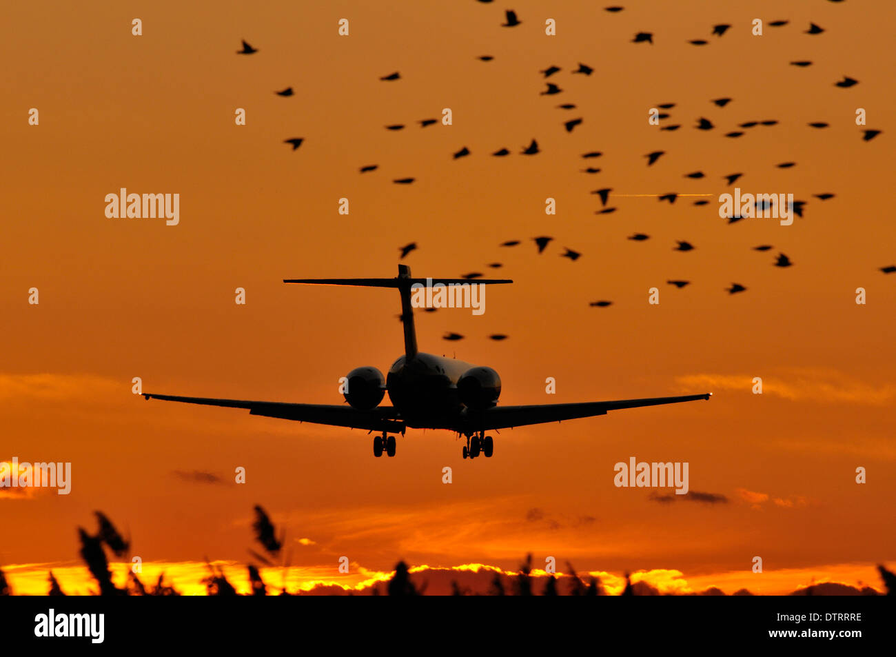 Flugreisen Sie in Philadelphia International Airport in Philadelphia, Pennsylvania. Stockfoto