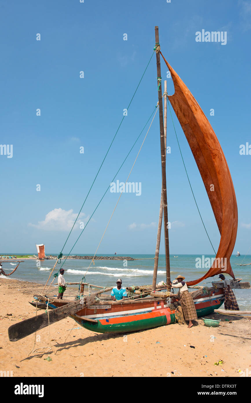 Fischer mit traditionellen Auslegerboot Segeln bekannt als Oruvas am Strand von Negombo. Western Province, Sri Lanka. Stockfoto