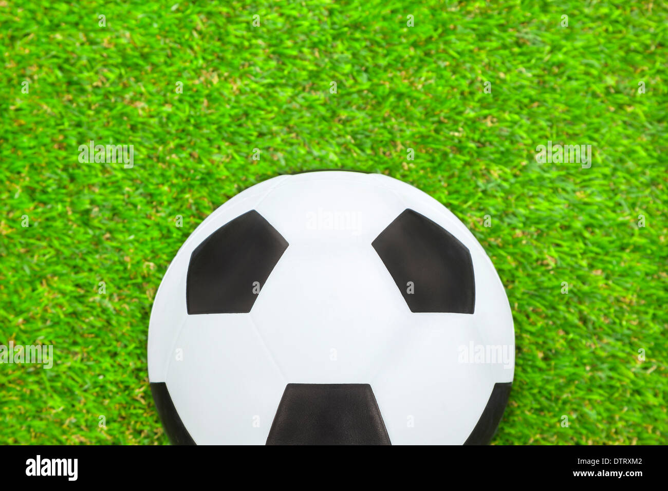 Fußball auf der grünen Wiese Stockfoto