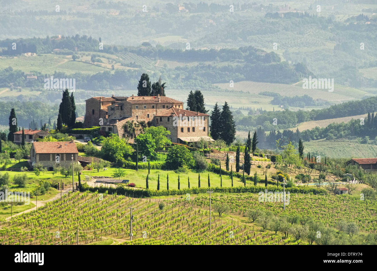 Toskana Weingut - Tuscany Weinberg 03 Stockfoto