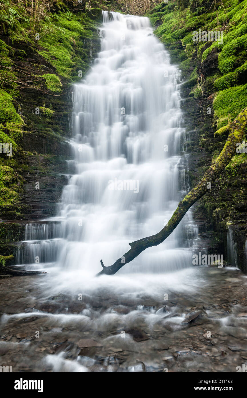 Der Wasserfall von Water-Break-its-Neck in der Nähe von New Radnor in Powys, Wales, Großbritannien Stockfoto