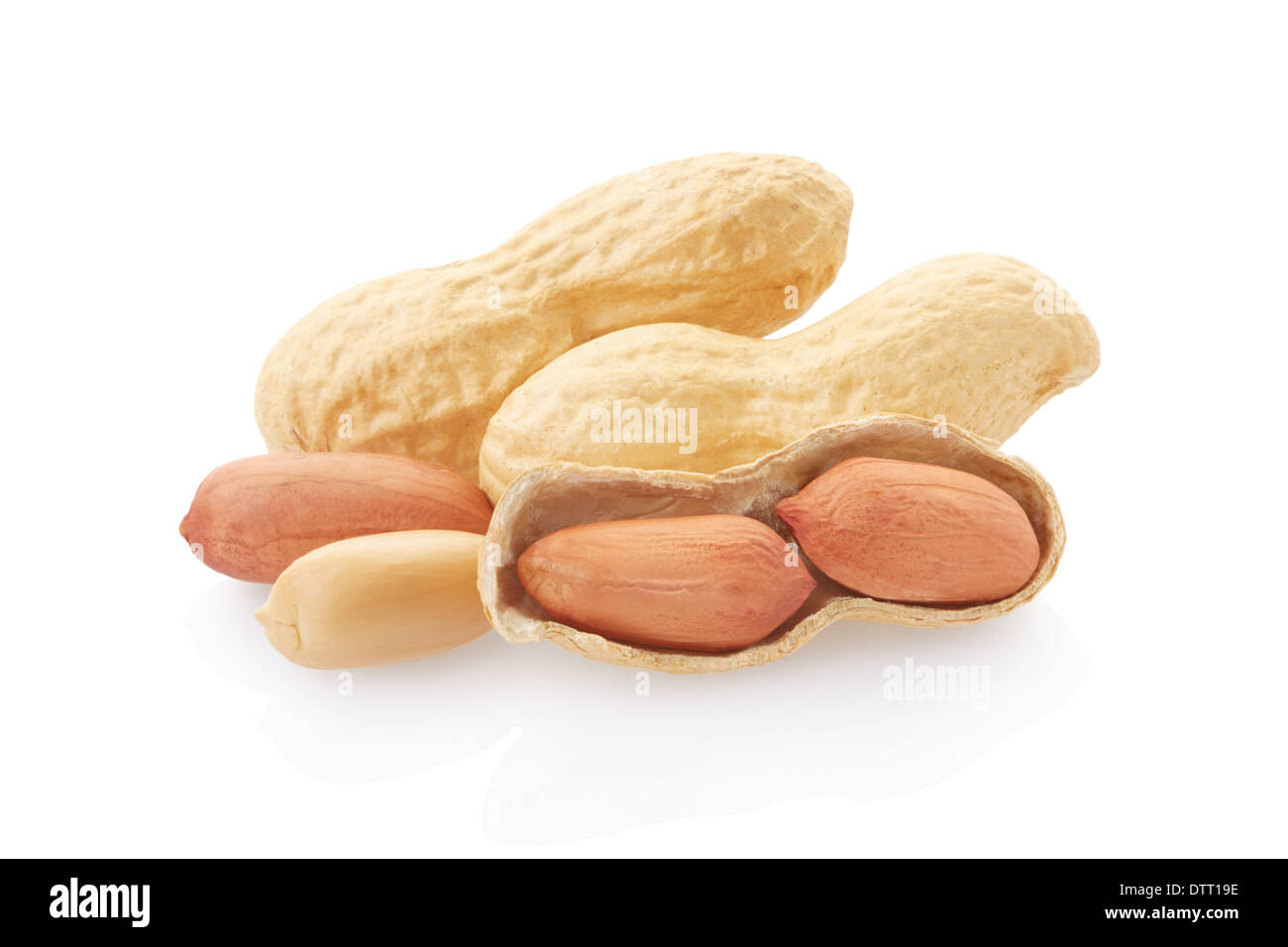 Getrocknete Erdnüsse auf weißem Hintergrund Stockfoto