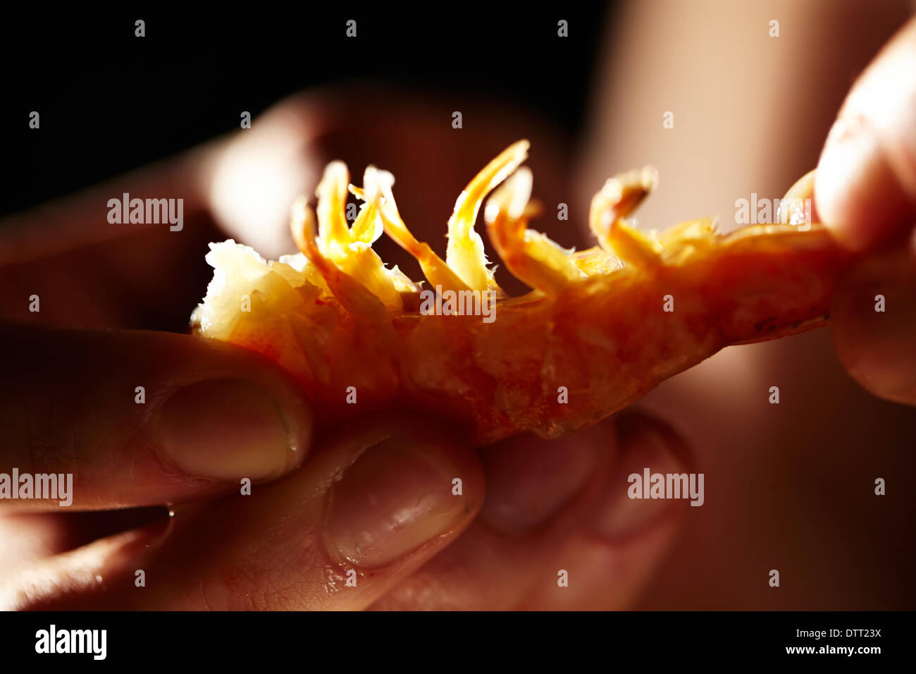 Garnelen Sie in Händen. Horizontalen Schuss. Stockfoto