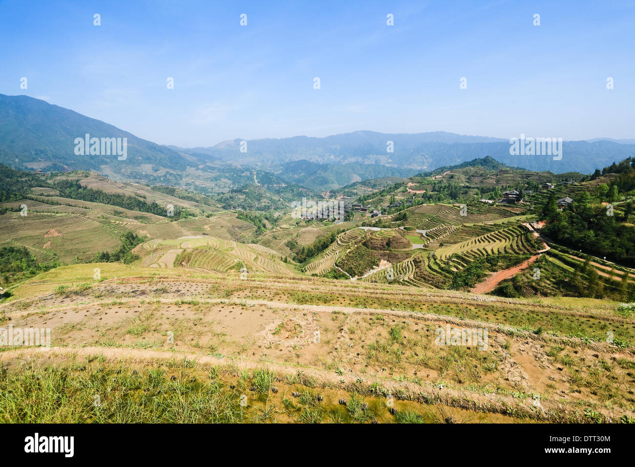 chinesische terrassierten Felder im Frühling Stockfoto