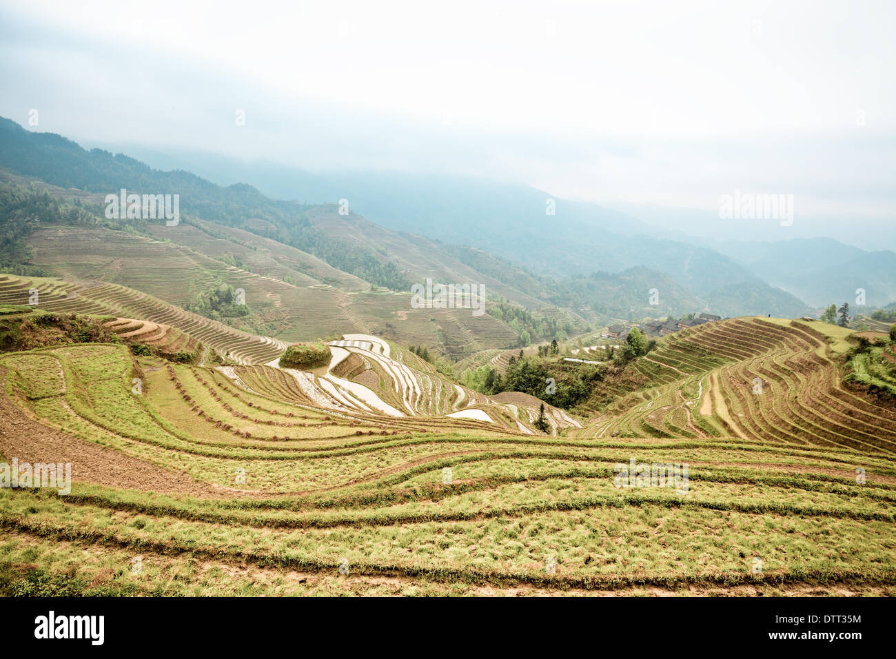 Longsheng Terrasse Stockfoto