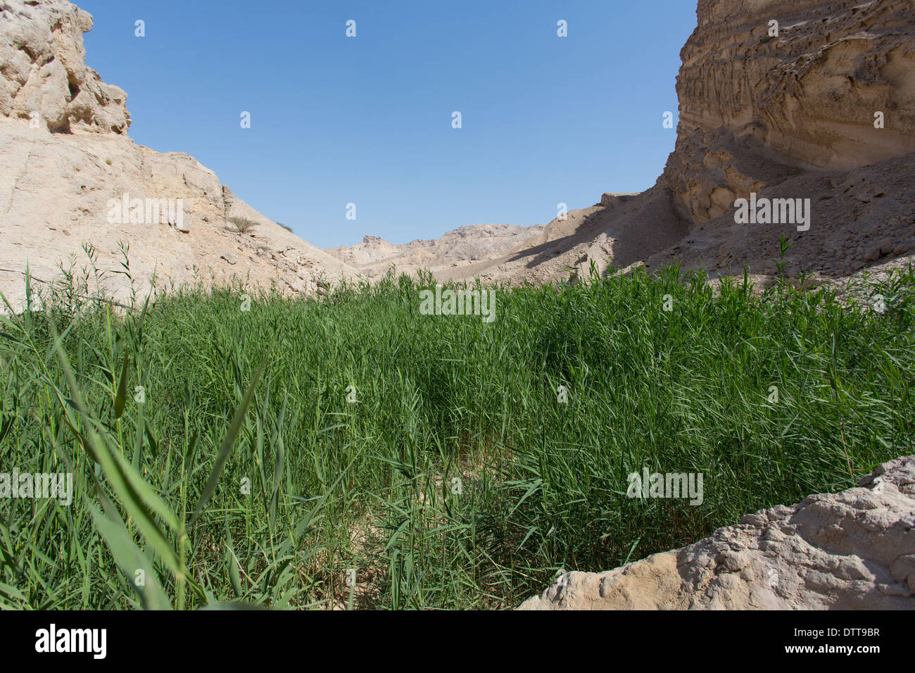 Historischen dam in der Nähe von Al Ain in den Vereinigten Arabischen Emiraten Stockfoto