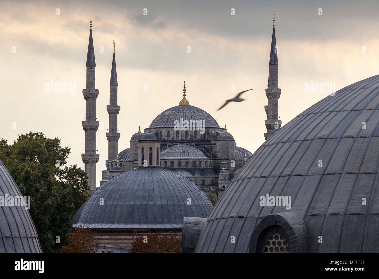 Kuppeln und Türme der blaue Moschee, Istanbul, Türkei Stockfoto