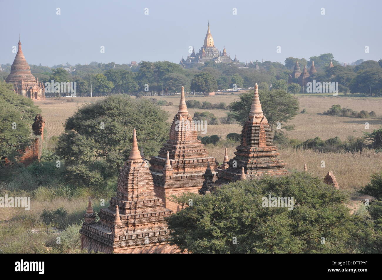 Pagodenfeld, Bagan, Myanmar Stockfoto