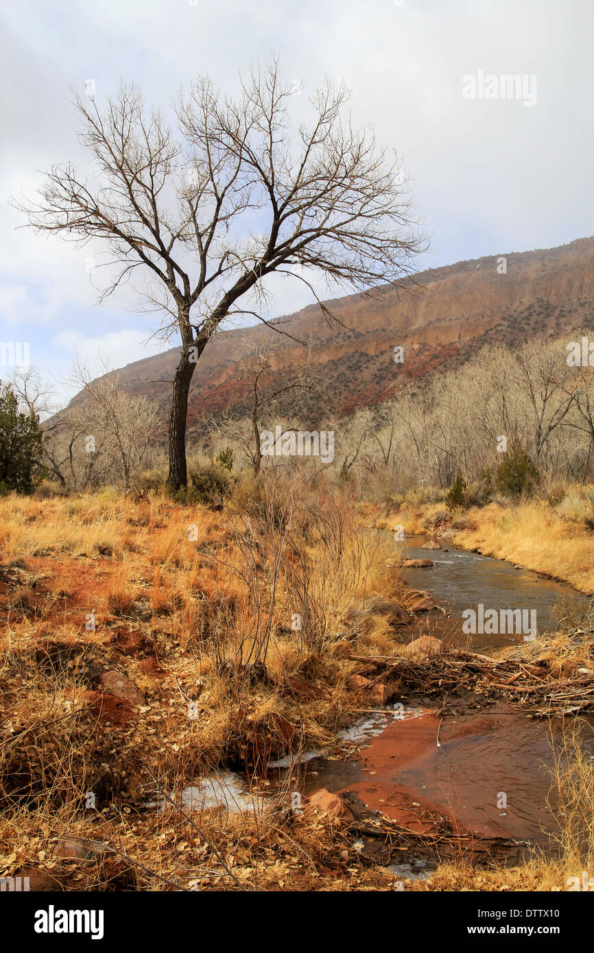 An Jemez River New Mexico Stockfoto