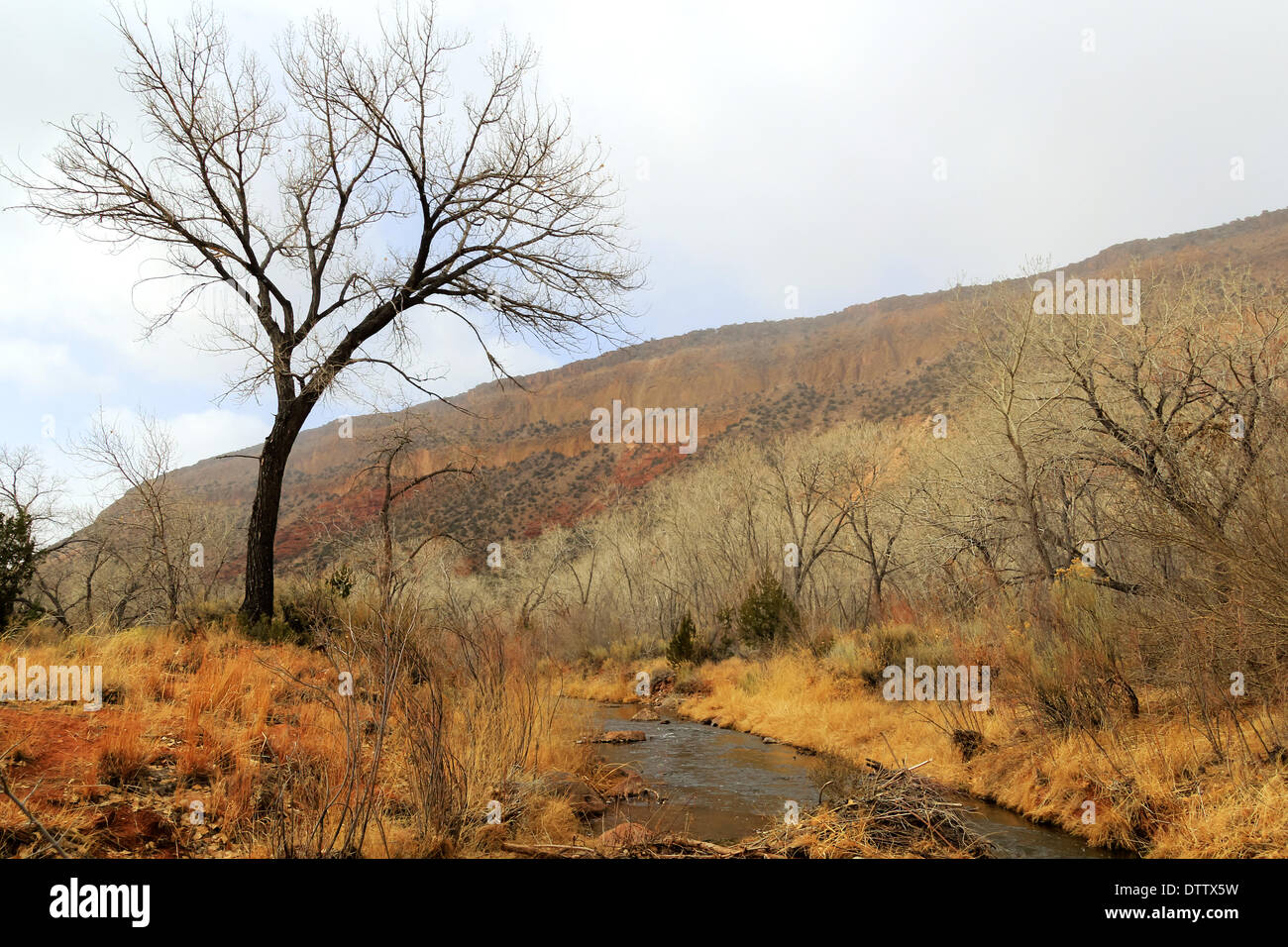 An Jemez River New Mexico Stockfoto