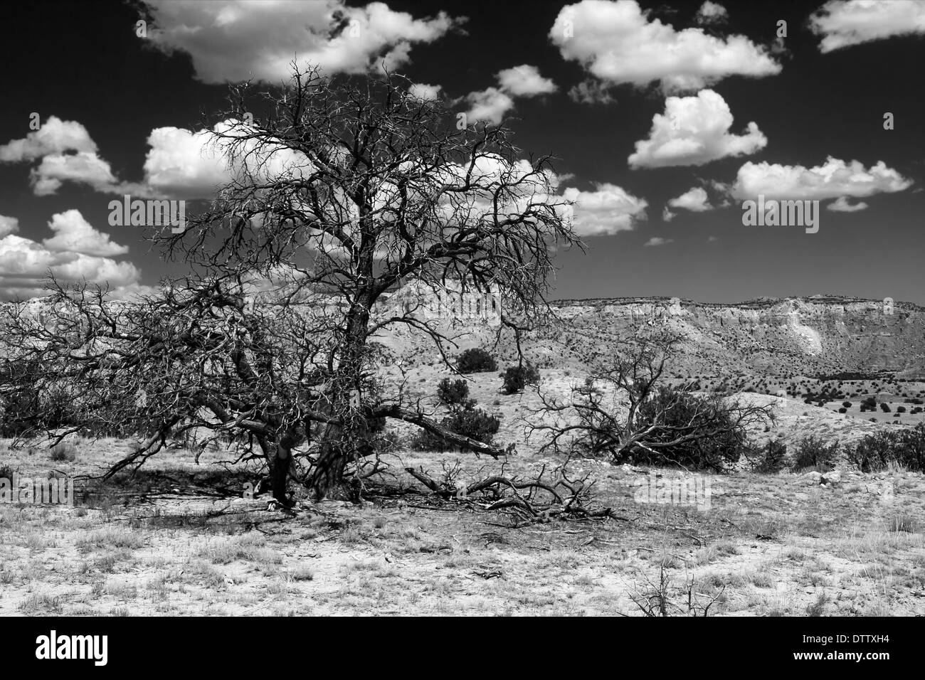 Dramatische Landschaft in New Mexiko Stockfoto