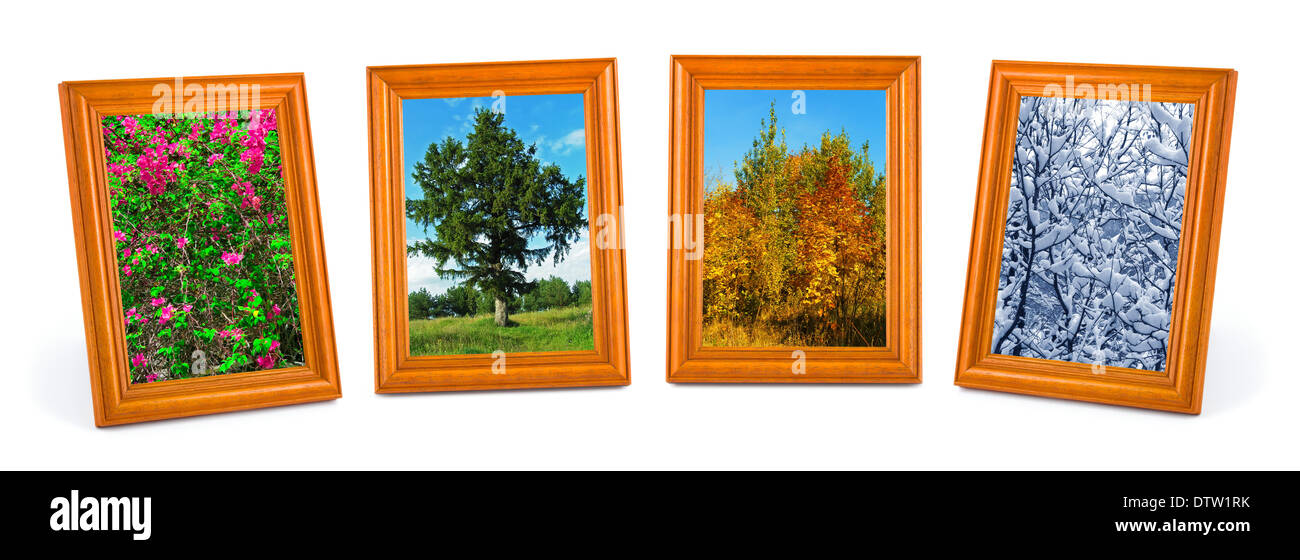 Vier Jahreszeiten (meine Fotos) Stockfoto