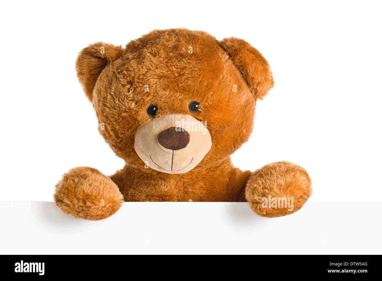 der Teddybär hinter whiteboard Stockfoto