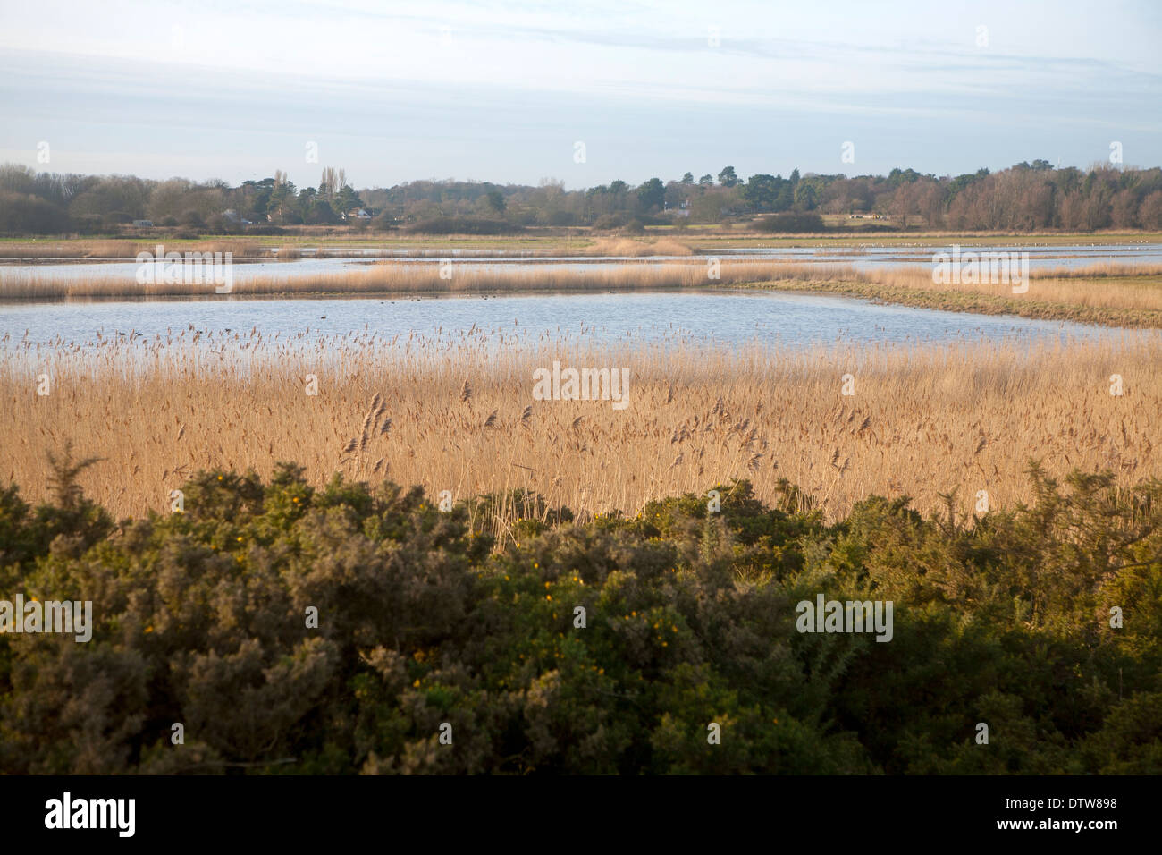 Durchlässige Flut Marschland überschwemmt von Flutwelle in der Nähe von Aldeburgh, Suffolk, England Stockfoto