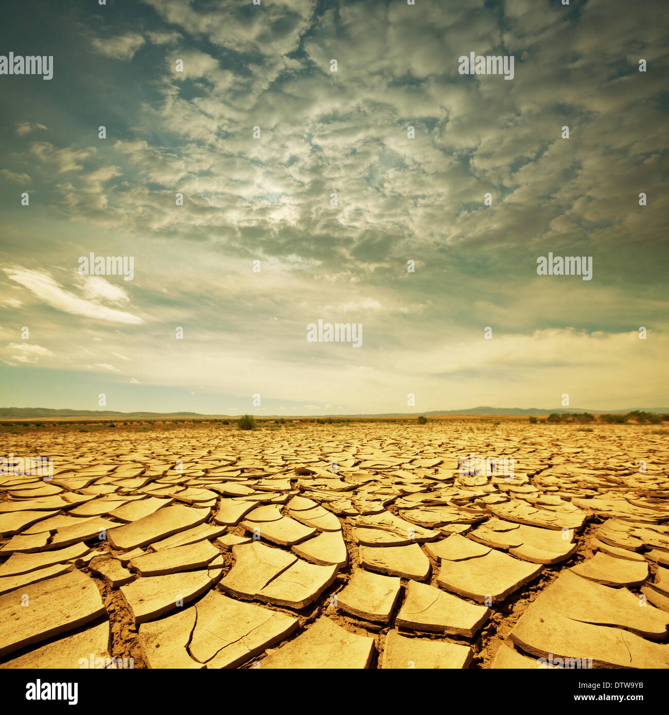 Dürre Land Stockfoto