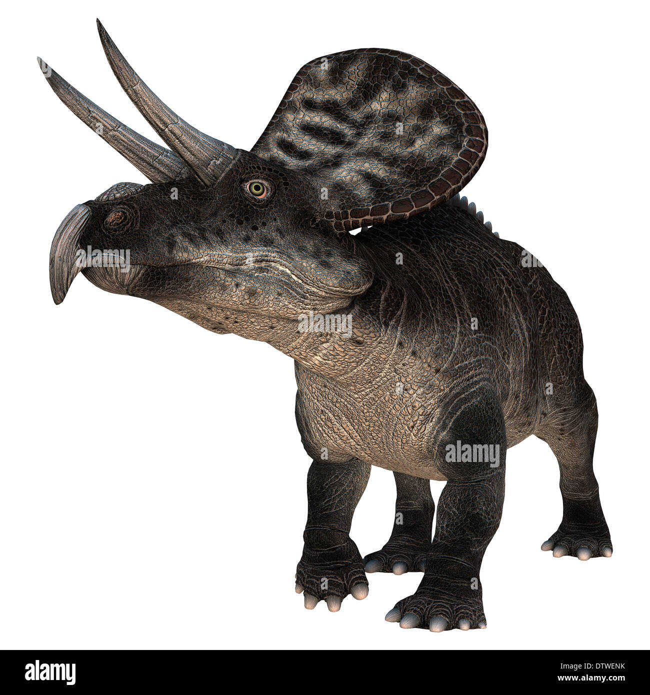 Digitale 3D Rendern eines Dinosauriers, die Zuniceratops isoliert auf weißem Hintergrund Stockfoto