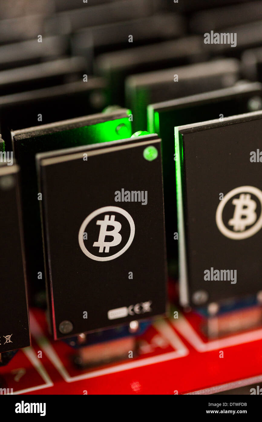 Bitcoin Mining USB-Geräte an einem großen USB-Hub. Stockfoto
